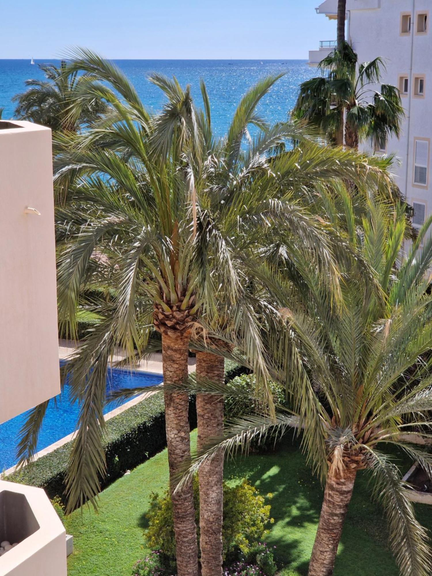 Azul - Estudio Con Vistas Al Mar, Piscina Y Acceso Directo A La Playa By Redi Altea Exterior foto